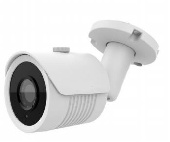 Видеокамера IP 2Mp Arsenal AR-IP202SDP/60 Starlight
